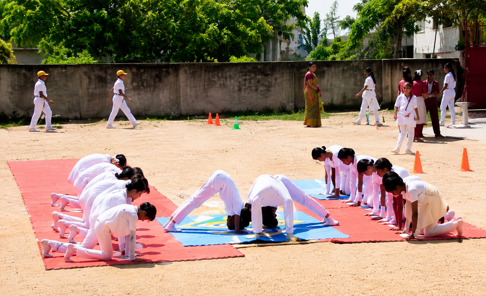 Students performing yoga activities